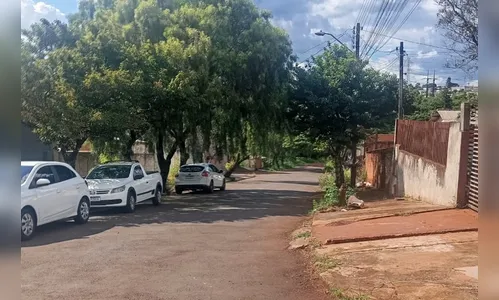 Ataque de abelhas deixa feridos no Jardim Diamantina em Apucarana
