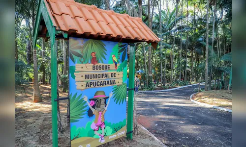 Bosque Municipal, uma história de mais de 60 anos