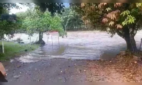 Vídeo mostra policiais salvando família arrastada por cabeça d'água no Paraná