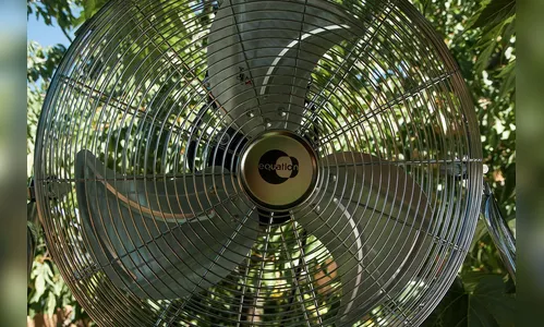 Preso é morto com eixo de ventilador por companheiro de sela em SC