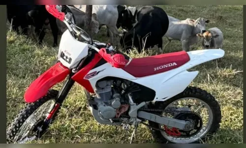 Ladrões passam moto por cima de muro em furto em Jandaia do Sul