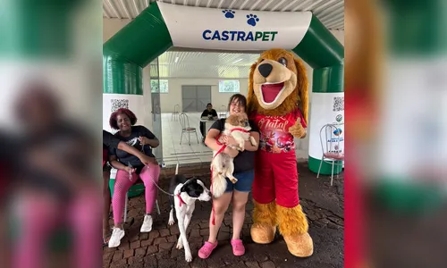 Jandaia do Sul conclui etapa do Castrapet com 278 animais esterilizado