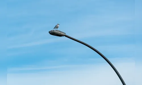 Homem é amarrado em poste após confusão em lanchonete de Bom Sucesso