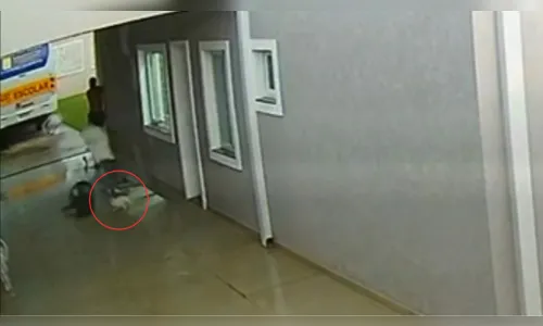 Câmera flagra cachorro sendo arrastado durante tornado no PR