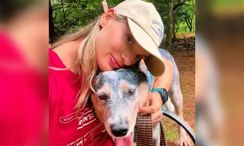 Cão sobrevive a acidente e se recusa a sair do lado de tutora morta