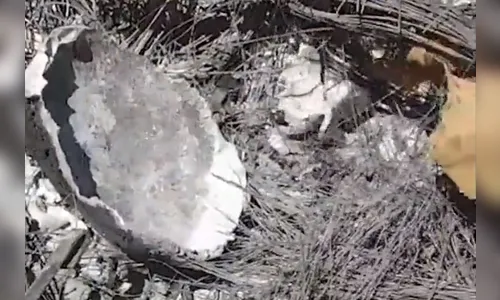 Ritual satânico: homem é preso ao cortar, queimar e rastelar corpo