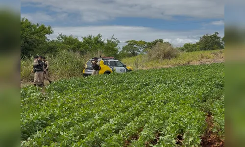 Perseguição após assalto termina em morte e prisão no Vale do Ivaí