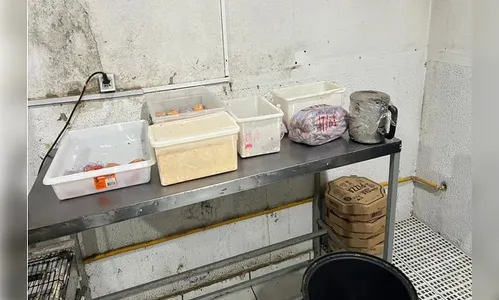 Pizzaria que vendia 250 unidades por dia é interditada com alimentos podres em GO