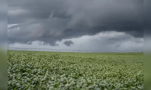 Janeiro terá muita chuva e calor dentro da média, afirma Simepar