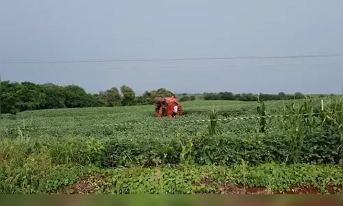 Caminhonete parte poste ao meio ao bater e motorista morre na PR-180