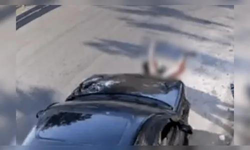 Morre mulher que foi arrastada por 1 km na Marginal Tietê