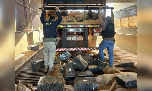 PRF apreende 292 toneladas de drogas no PR em 2025
