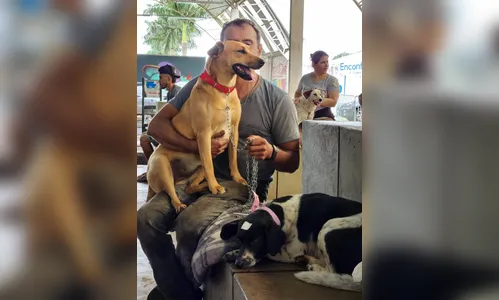 Arapongas terá 162 castrações gratuitas no 5º ciclo do CastraPet