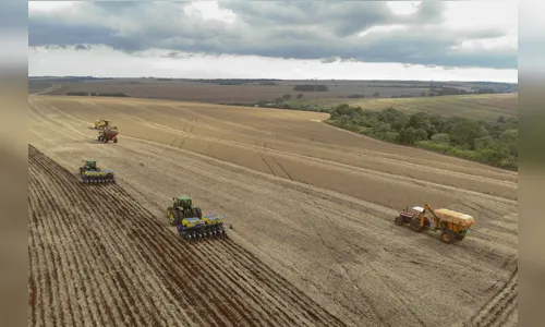 Paraná fecha 2025 com 13,5% de participação na safra nacional de grãos