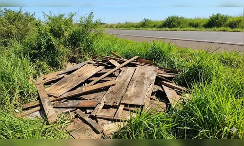 Descarte de lixo ao lado de placa de 