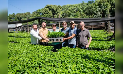 Prefeitura de Apucarana inicia distribuição de 120 mil mudas de café