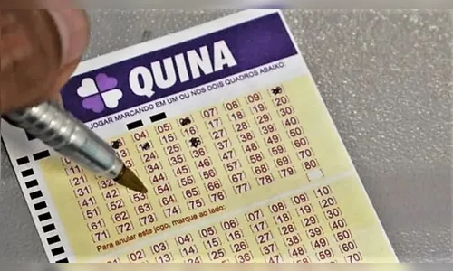 Quina 6913 paga R$ 13,7 milhões no prêmio principal; veja números