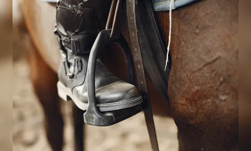 Celeiro é arrombado e ladrões levam 15 selas em bairro de Apucarana