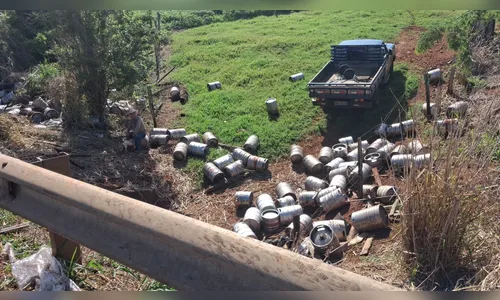 Trânsito, velocidade e ausência de barreiras: os perigos da PR-444