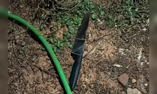 Adolescente mata padrasto ao defender mãe durante agressão