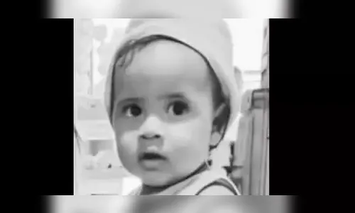 Bebê de dois anos morre em ataque de abelhas