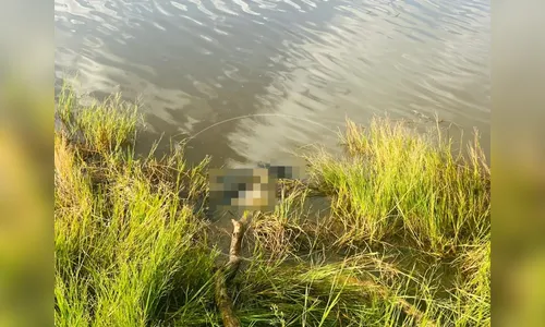 Corpo é encontrado boiando no Lago Saracura em Faxinal