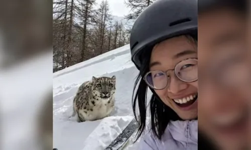 Selfie revela momento antes de turista ser atacada por leopardo-das-neves na China