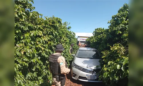 Corolla furtado em Jandaia do Sul é recuperado em cafezal de Apucarana