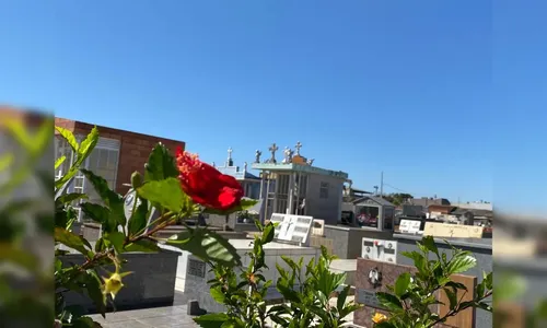 Confira os falecimentos desta quarta-feira (4) em Apucarana