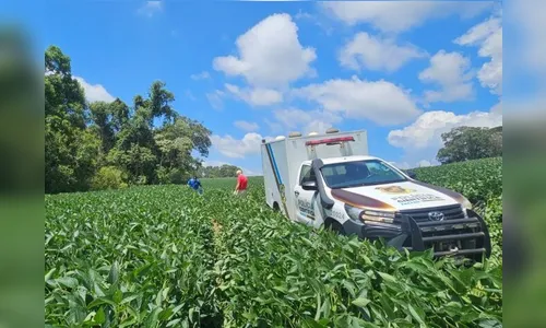 Após 13 dias desaparecida, idosa é encontrada morta em plantação de soja no PR