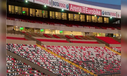 Veja onde assistir Botafogo-SP x Palmeiras ao vivo neste domingo (1)
