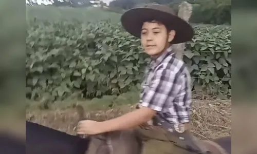 Menino de 12 anos morre em colisão na Rodovia Régis Bittencourt