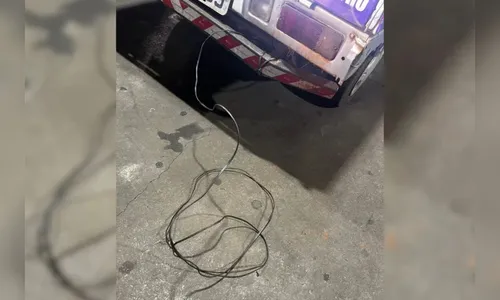 Homem arrasta cadela prenha por 7km até a morte