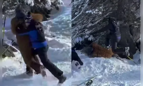 Brasileiro fantasiado de Chewbacca é agredido em estação de esqui na França