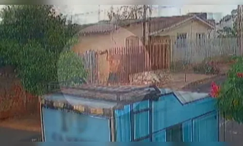 Homem é preso após ser filmado arremessando cachorro no PR; vídeo