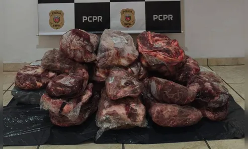 Homem é preso no PR com 147 kg de carne saqueada de caminhão na BR-376