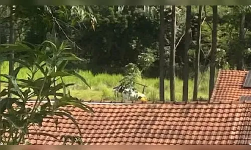 Helicóptero da Polícia Militar cai durante cerco a criminosos no Paraná