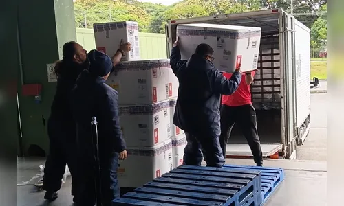 Paraná ofertará novo medicamento para prevenir vírus sincicial em bebês em fevereiro