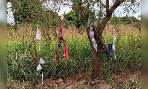 Moradores são surpreendidos por lingeries penduradas em árvores no PR