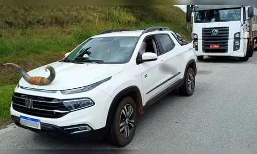 Picape com 'chifre de boi' no capô é multada pela PRF em Santa Catarina