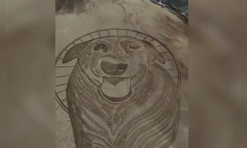 Artista faz desenho na areia em homenagem ao cachorro Orelha em praia de SC