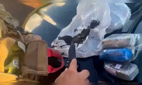 PRF flagra transporte de haxixe e prende suspeito no Noroeste do PR