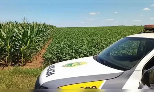 Furto de ferramentas é registrado pela Patrulha Rural em Jardim Alegre