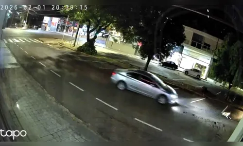 Polícia Civil investiga suspeita de atropelamento intencional de cachorro em Ivaiporã