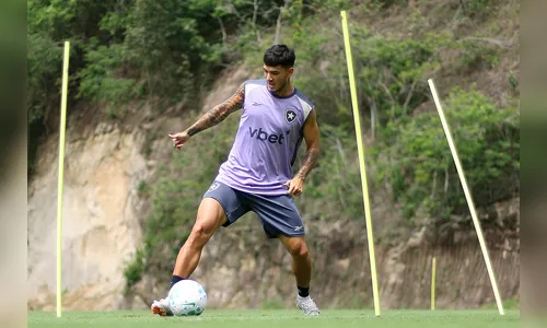 Veja onde assistir Botafogo e Cruzeiro ao vivo nesta quinta-feira (29) pelo Brasileirão