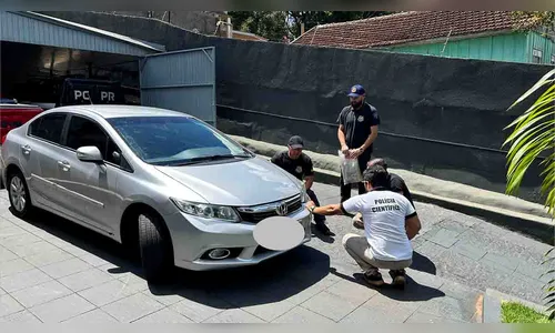 Polícia Civil identifica motorista suspeito de atropelar cachorra Dara em Ivaiporã