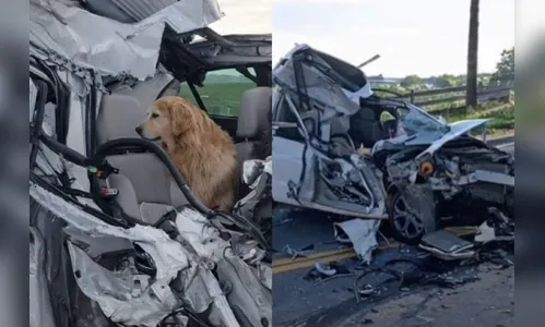 Motorista e cadela sobrevivem a grave acidente no Paraná