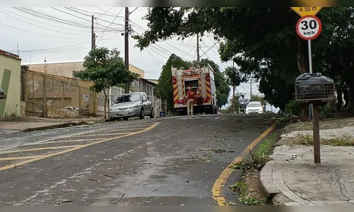 Vídeos mostram temporal que derrubou árvores e deixou mil imóveis sem luz em Londrina
