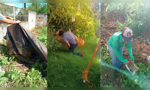 Jandaia intensifica ações de combate à dengue durante período de calor e chuvas