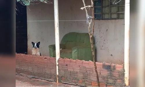 Grávida que sobreviveu a ataque do ex em São Manoel do Paraná deixa a UTI